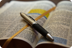 Bible-Blog copy